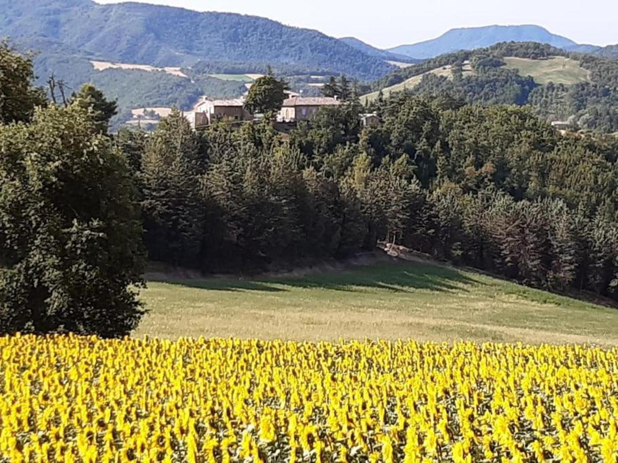 Ca' Gulino - Urbino - Villa Con Minipiscina In Borgo Antico Exterior photo